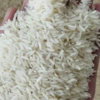 برنج هاشمی درجه یک