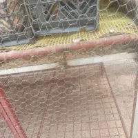 قفس دو طبقه محکم|لوازم جانبی حیوانات|یزد, |دیوار