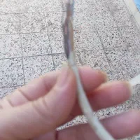 خط تلفن ثابت