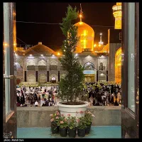 تور مشهد با اتوبوس قطار هواپیما قسطی