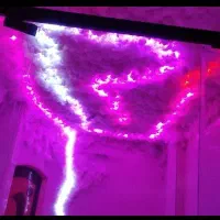 اجرای سقف کهکشانی|ریسه و چراغ تزئینی|اصفهان, عباس‌آباد|دیوار