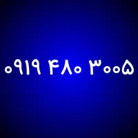 0919.480.3005