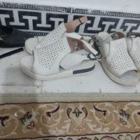 کفش مجلسی واسپرت