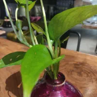 اجاره دفتر کار و سالن