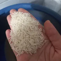 برنج هاشمی درجه یک