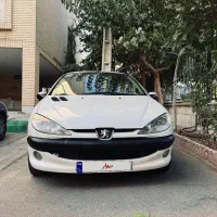 206 تمیز مدل ۸۰ باور نکردنی