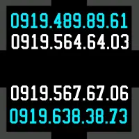 0919.489.89.61