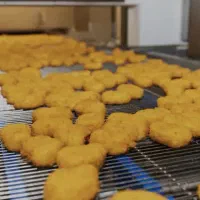 کارگرساده و راننده /مزایا/ کارخانه موادغذایی