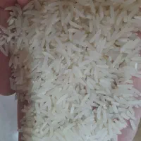 برنج فجر|خوردنی و آشامیدنی|بندر ترکمن, |دیوار