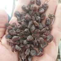 کشمش سوپر درجه یک