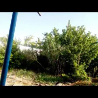 فروش-خانه-ویلایی