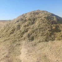 ۹۰۰  کیلو کاه و ۸۰۰ کیلو یونجه فروش فوری