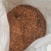 مغز بادام ایرانی درجه یک فقط عمده