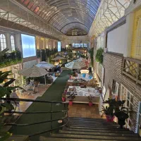 همکار خلاق گرافیست مسلط به ایلوستریتور|استخدام هنری و رسانه|کرج, شیخ آباد|دیوار