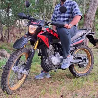 mKZ250