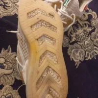 کفش|کیف، کفش، کمربند|صحنه, |دیوار