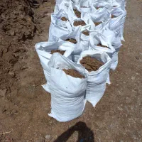 کودگاوی وگوسفندی پودری وپوسیده کهنه
