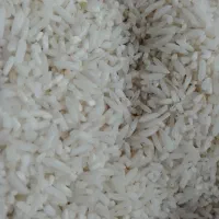 پخش بهترین و با کیفیت ترین برنج|عمدهفروشی|قم, پردیسان|دیوار