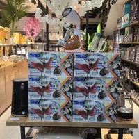 پخش( عمده و تک)اتو دستی و مسافری|اتو و لوازم اتو|شیراز, عفیفآباد|دیوار