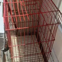 قفس پرنده رنگ شده با اسپری