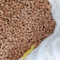 نخودسفید درشت الک شده|خوردنی و آشامیدنی|سراجو, |دیوار