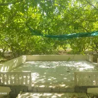 باغ-گردو-بادام
