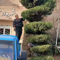 هرس درختان زینتی درختان میوه وبیل زنی با اکیپ