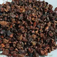 به دونه خالص