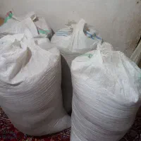 شالی دم سیاه ۴ کیسه به نرخ روز