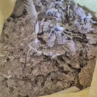 فروش کود کفتر