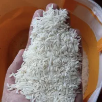 برنج هاشمی درجه یک گیلان