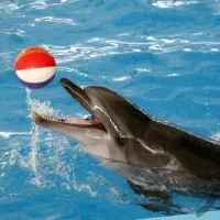 آفرلحظه آخری تفلیس دبی کیش10روزه قشم مسقط ازمشهد