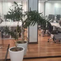 1500مترسنداداری ارژانتین الوندعکس واقعی/ارشیا زارع