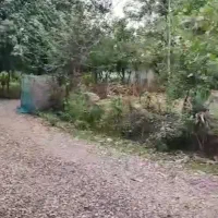 Vila.|فروش خانه و ویلا|رشت, اسماعیل آباد|دیوار