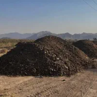 کود گاو
