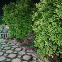 فروش زمین فرزندآوری
