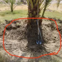 خدمات باغبانی خانگی وکشاورزی