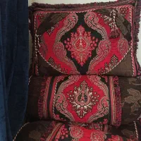 ۱۰عدد پشتی ۱۰عددبالشت