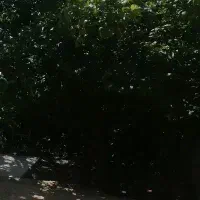 خانه-و-کارگاه