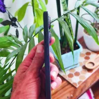 note13pro 512gig|موبایل|یاسوج, |دیوار