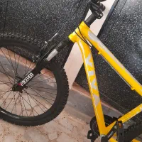 دوچرخه برند ویوا|دوچرخه، اسکیت، اسکوتر|تولم شهر, |دیوار