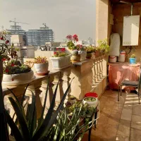 ۱۸۵ متر /ازگل /جنوبی/بازسازی کامل