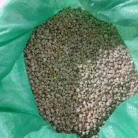 نخودفرنگی درجه یک بذری