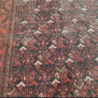 فرش کهنه سرتاسر زابل|فرش|خوی, |دیوار