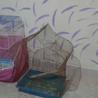 دو عدد قفس پرنده نیروی دریایی نارمک|لوازم جانبی حیوانات|تهران, نیروی دریایی|دیوار
