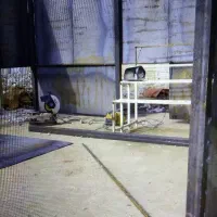 جوشکاری برشکاری وریختگری سیار