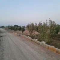 زمین۳۵۰ متری چسب بافت سهیلیه زعفرانیه اقبالیه|فروش زمین و ملک کلنگی|کرج, گلشهر|دیوار