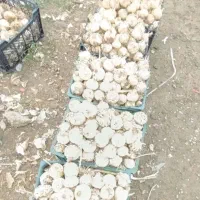 از تولید به مصرف