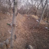 جهت خرید باغ در اسکو با ما در تماس باشید|فروش خانه و ویلا|اسکو, |دیوار