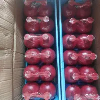 شامپو گلدن مود فرانسه|عمده‌فروشی|تهران, هرندی|دیوار